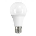 15 Watt Large GLS LED Edison Screw Light Bulb – Daylight White